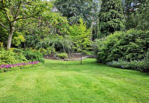 Optimiser l'expérience du jardin à Villenauxe-la-Grande
